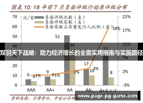 双羽天下战略：助力经济增长的全面实用指南与实施路径