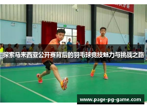 探索马来西亚公开赛背后的羽毛球竞技魅力与挑战之路