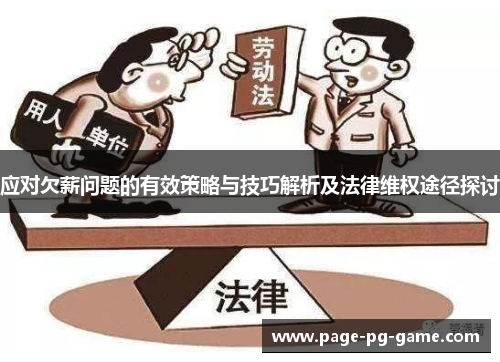 应对欠薪问题的有效策略与技巧解析及法律维权途径探讨