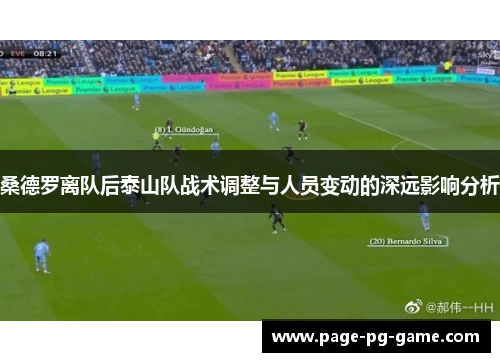 桑德罗离队后泰山队战术调整与人员变动的深远影响分析