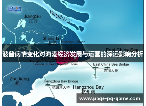 波普病情变化对海港经济发展与运营的深远影响分析