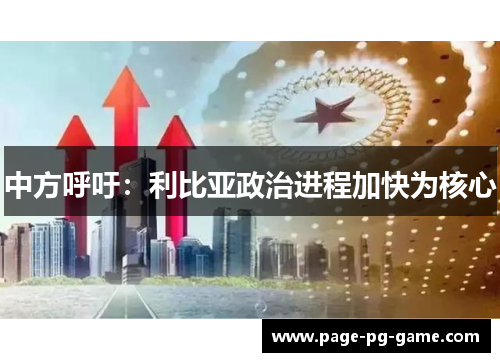 中方呼吁：利比亚政治进程加快为核心