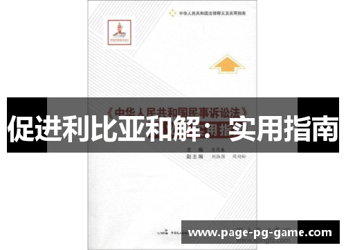 促进利比亚和解：实用指南
