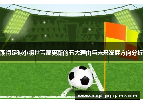 期待足球小将世青篇更新的五大理由与未来发展方向分析