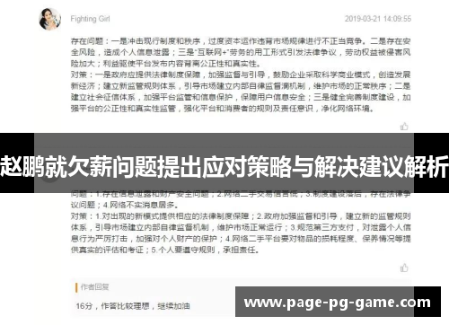 赵鹏就欠薪问题提出应对策略与解决建议解析