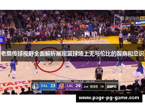 老詹传球视野全面解析展现篮球场上无与伦比的智商和意识