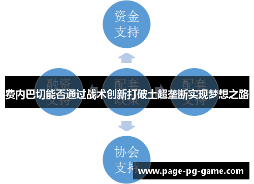 费内巴切能否通过战术创新打破土超垄断实现梦想之路