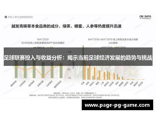 足球联赛投入与收益分析:揭示当前足球经济发展的趋势与挑战 足球联赛投入与收益分析:揭示当前足球经济发展的趋势与挑战