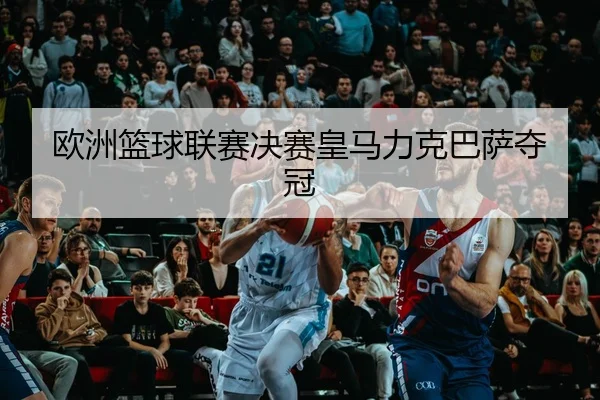 ou-zhou-lan-qiu-lian-sai-jue-sai-huang-ma-li-ke-ba-sa-duo-guan-3-908.jpg