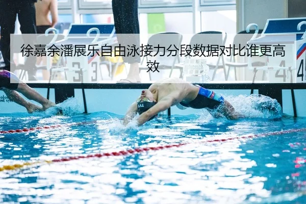 xu-jia-yu-pan-zhan-le-zi-you-yong-jie-li-fen-duan-shu-ju-dui-bi-shui-geng-gao-xiao-2-362.jpg