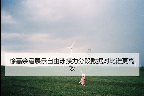 xu-jia-yu-pan-zhan-le-zi-you-yong-jie-li-fen-duan-shu-ju-dui-bi-shui-geng-gao-xiao-3-321.jpg