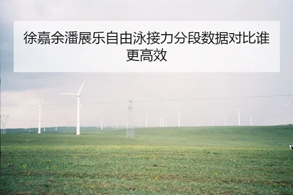 徐嘉余潘展乐自由泳接力分段数据对比谁更高效