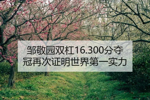 zou-jing-yuan-shuang-gang-fen-duo-guan-zai-ci-zheng-ming-shi-jie-di-yi-shi-li-2-315.jpg