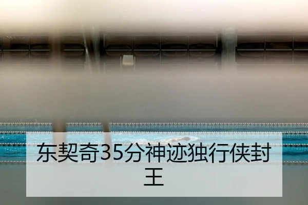 dong-qi-qi-fen-shen-ji-du-xing-xia-feng-wang-2-240.jpg