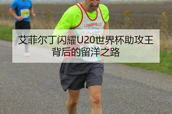 ai-fei-er-ding-shan-yao-shi-jie-bei-zhu-gong-wang-bei-hou-de-liu-yang-zhi-lu-2-695.jpg