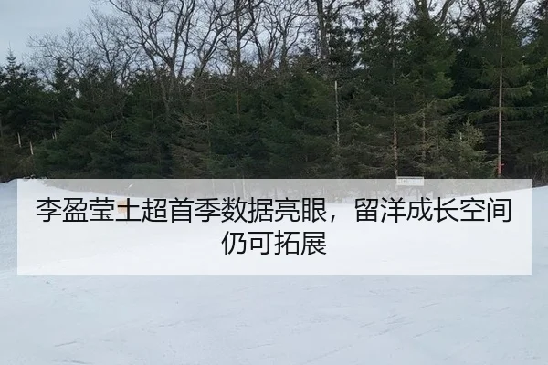 li-ying-ying-tu-chao-shou-ji-shu-ju-liang-yan-liu-yang-cheng-zhang-kong-jian-reng-ke-tuo-zhan-2-370.jpg