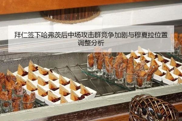 拜仁签下哈弗茨后中场攻击群竞争加剧与穆夏拉位置调整分析