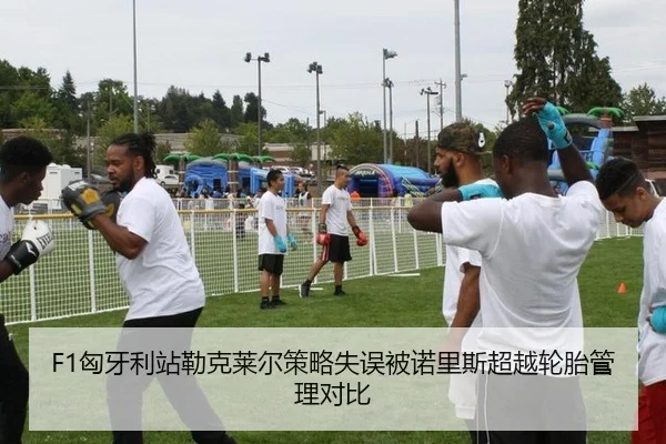 F1匈牙利站勒克莱尔策略失误被诺里斯超越轮胎管理对比