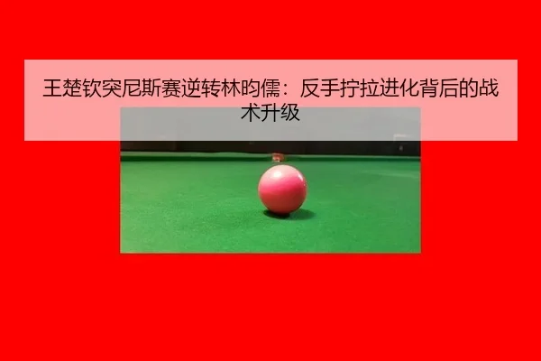 wang-chu-qin-tu-ni-si-sai-ni-zhuan-lin-yun-ru-fan-shou-ning-la-jin-hua-bei-hou-de-zhan-shu-sheng-ji-3-232.jpg